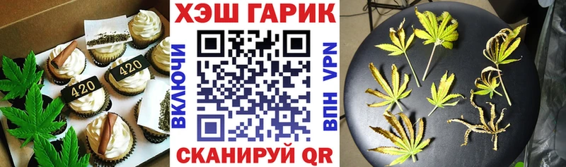 OMG как войти  где можно купить   Чадан  Cannafood конопля 